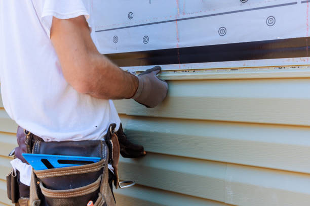 Best Aluminum Siding Installation  in Nashvle, IL